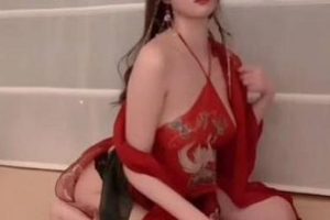 最新秀人网人气女神-杨晨晨有尺度真空无内