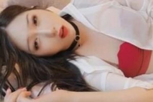 这种植物真的不适合做花盆?