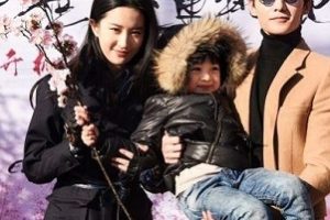 经典电视剧合集（优秀合集）