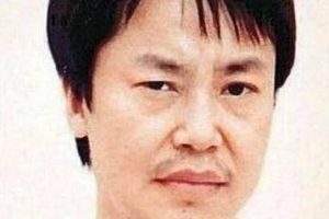 《插翅难逃：世纪大盗张子强的故事》2002年国产剧，全29集，1080P，国语中字，阿里云驱动下载