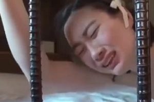 《走后门皮燕子灌豆浆：抓住机会，成就一半成功》