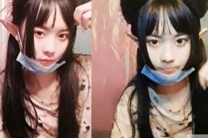 猫奴丫：拆解全系列，3G精品，禁忌的收藏品