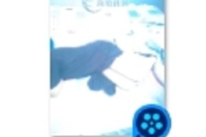 1V200M打包丝袜sao xue小怪兽不明液体百度盘