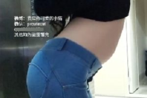 可爱小猫8GPR社百度云资源