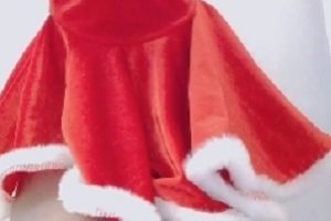 Cuteli聖誕裝1V：742MB百度盘转载搬运