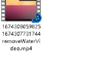 男人的谎言：视频搬运，百度盘免费下载