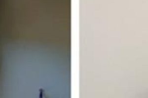 推特美女NicoLove与男友互动火辣长相的华裔美女展现黄金比例！视频