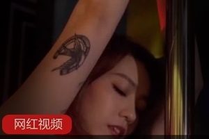 钢管舞女郎作品：JVID