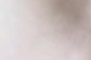 Y蒂资源合集：超口味重小视频国家合集，47V-3.2G下载观看