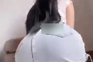 Luckycxycxycxy狐狸小妖合集：105v1092p，5.76G视频打包，百度盘自行证