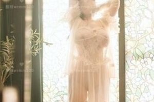 九酱最新作品合集，G奶浮力姬奶喵风韵尽显94V-1.42G