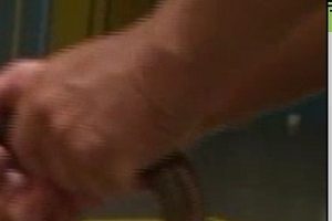 极限互动：扩大塞动物朋友12v1.2g视频大放送