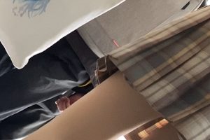 百度ED2K下的学生妹合集，1229个视频总计183G，让你收藏不停