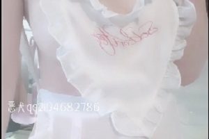 杯恶犬PR整合合集收藏版：58套视频，75V，23G