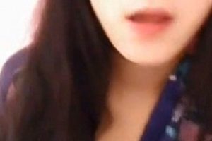 女主播猫奴：收藏55只猫咪，百度搜索视频数量达115个