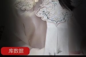 推特萌妹白桃露露最新合集23V8.5G，汉服与JK风格尽显魅力