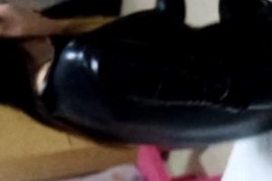 TS伪娘合集补充111G，收藏58，单独解压