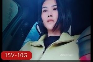 佛山售楼部经理视频合集15部10G，完整版资源丰富