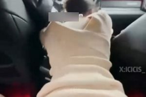 Telegram奶白色嫩犬合集视频7G小可爱