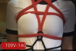 Onlyfans伪娘ljy与闺蜜CDTANT合集109部14.8G，身材出彩，动作戏精彩