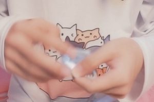 百度云资源TS猫と爪呸罗呸罗63.4g大合集224部