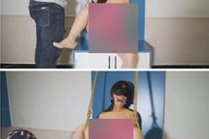 鲁R绳艺朵朵轻熟少妇1.19GB超清推车骑木马