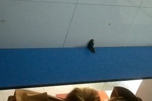 64.7G小蓝门厕拍劲爆合集99部网络资源