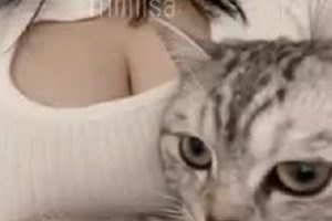 推特米饼misa丰满诱人cosplay视频合集50部653MB