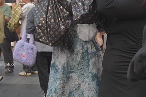 BCAA627商场花裙妹拍摄1部655MB绝顶展示